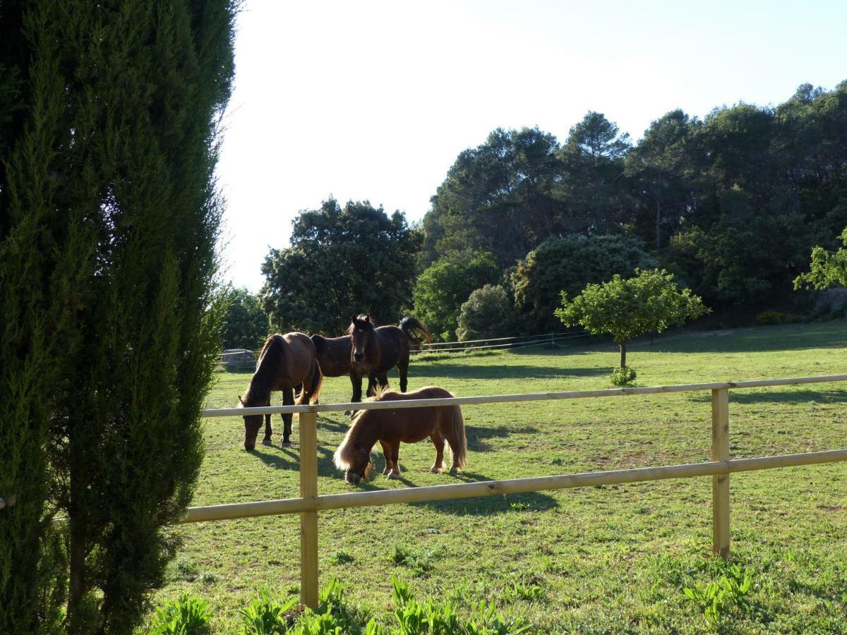 Вілла Domaine Des Bruguieres Entrecasteaux Екстер'єр фото